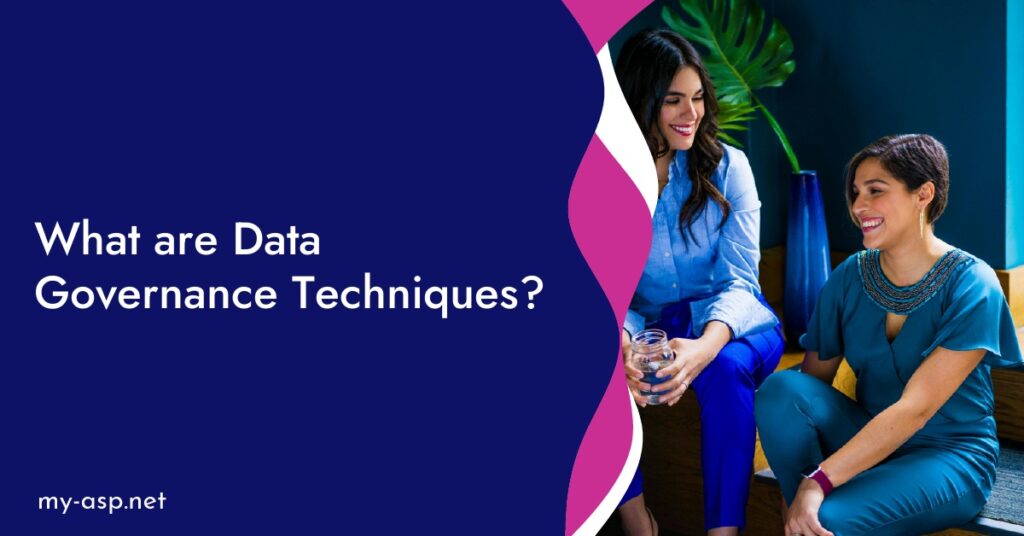 What are Data Governance Techniques?
